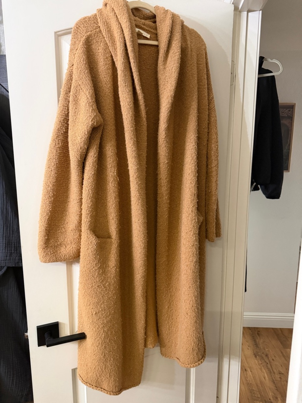 lovestitch Plush Hooded Teddy Coat in Camel